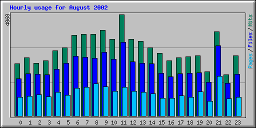 Hourly usage for August 2002